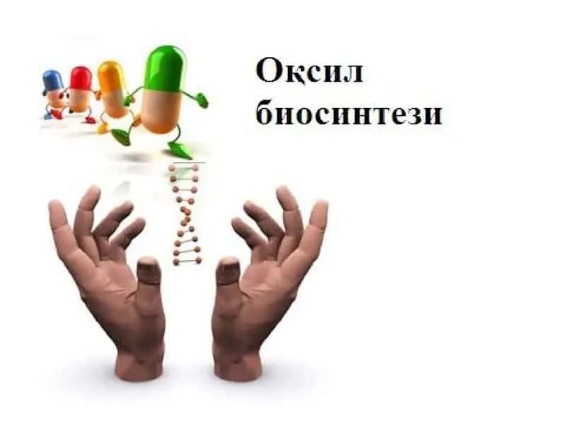 Оқсил биосинтез 1