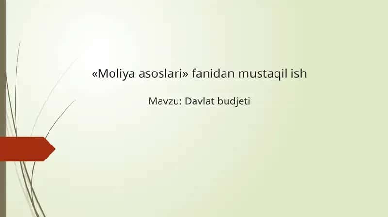 Davlat budjeti mavzusida mustaqil ish taqdimoti 1