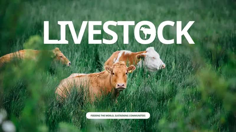 Livestock Feeding the World, Sustaining Communities 1