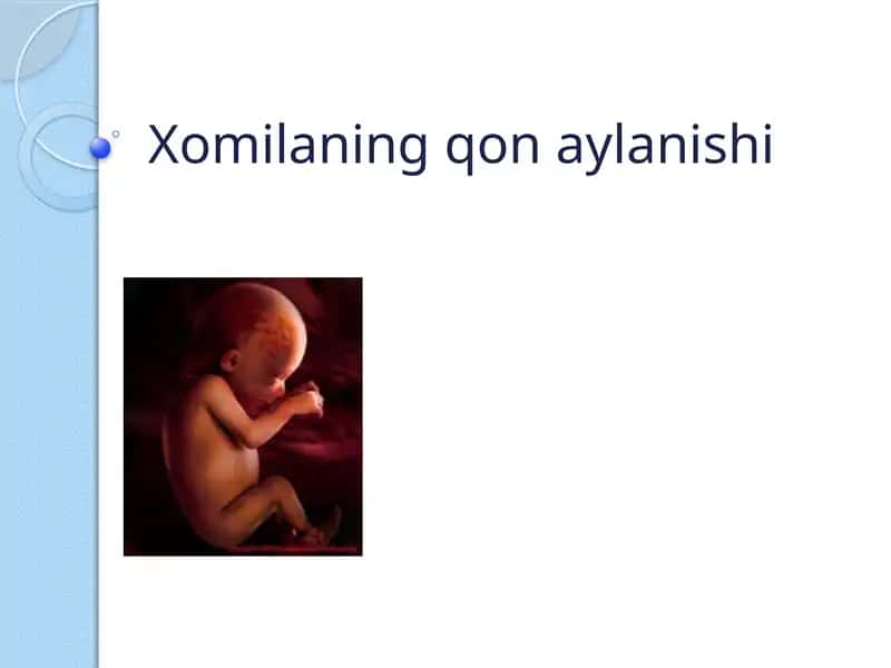 Xomilaning qon aylanishi 1