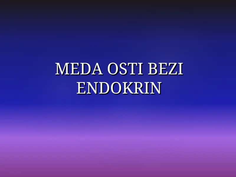 MEDA OSTI BEZI ENDOKRIN 1