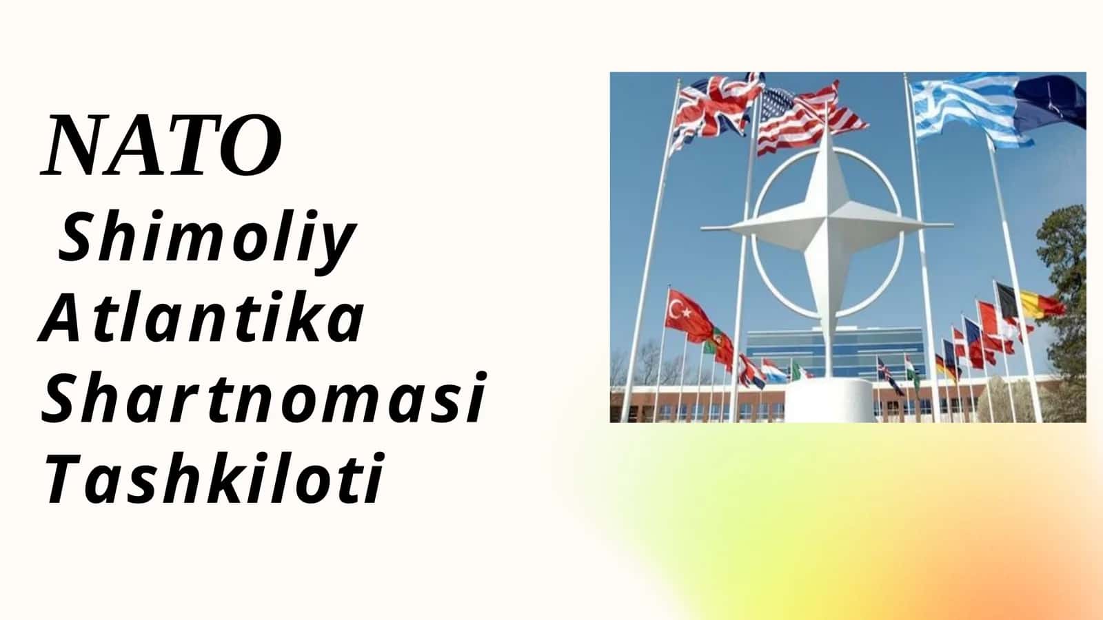 Shimoliy Atlantika Shartnomasi Tashkiloti 1