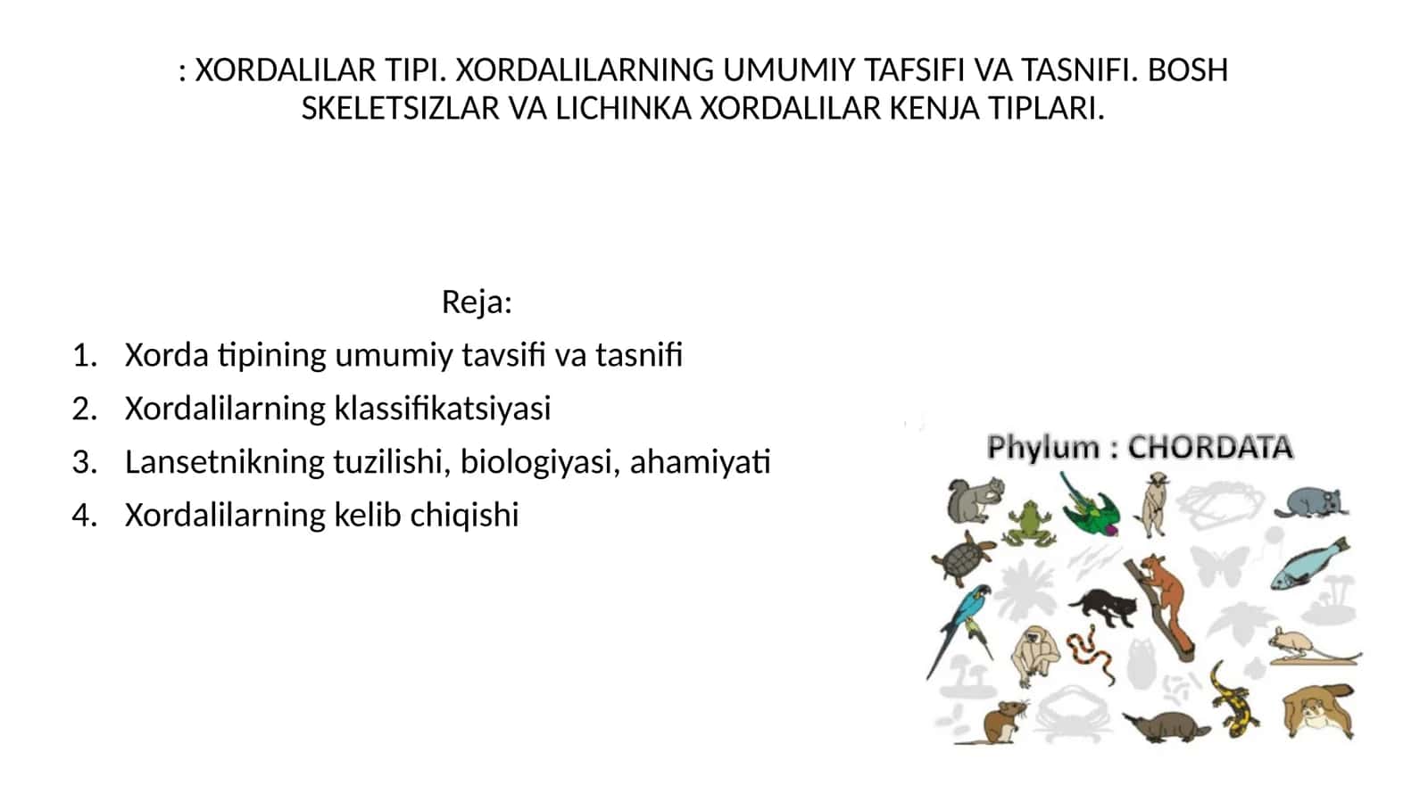 XORDALILAR TIPI 1