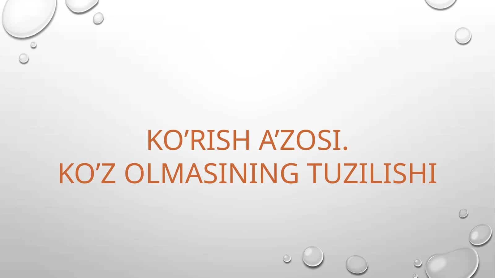 KO’Z OLMASINING TUZILISHI 1