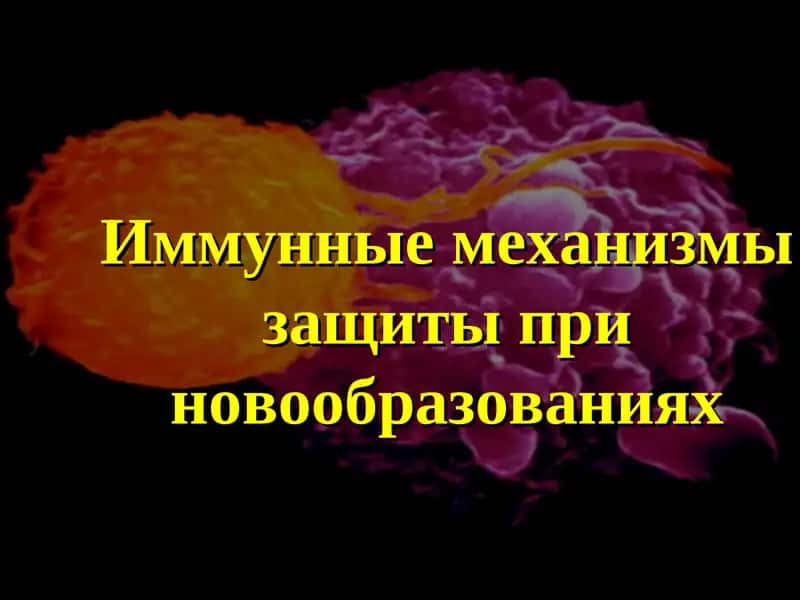 Иммунные механизмы защиты при новообразованиях 1