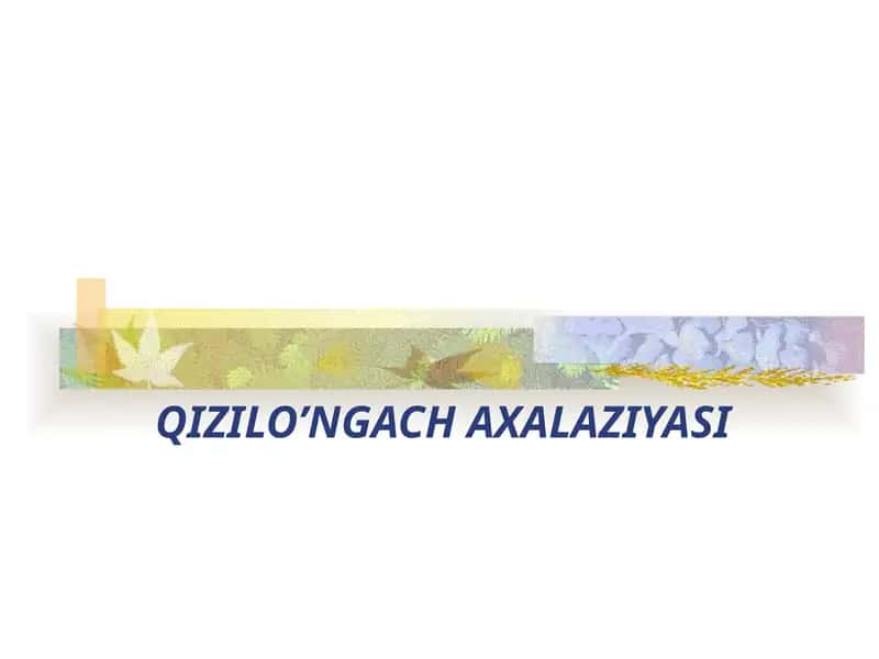 QIZILO’NGACH AXALAZIYASI 1