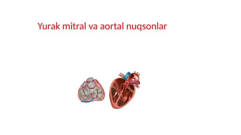 Yurak mitral va aortal nuqsonlar 1