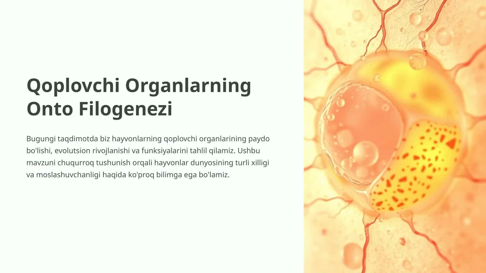 Qoplovchi Organlarning Onto Filogenezi 1