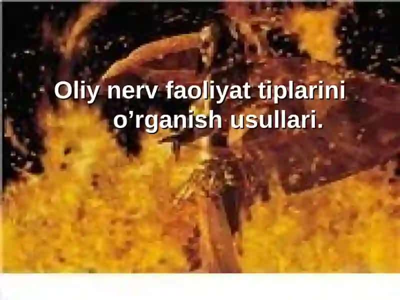 Oliy nerv faoliyati va temperament
