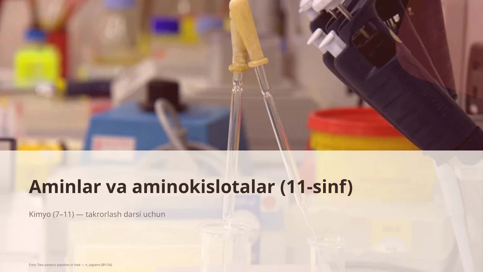 Aminlar va aminokislotalar (11-sinf) 1