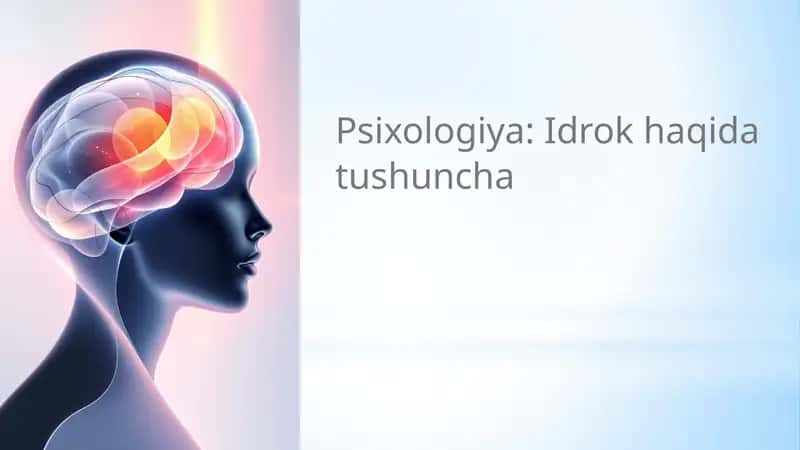 Idrok haqida tushuncha 1