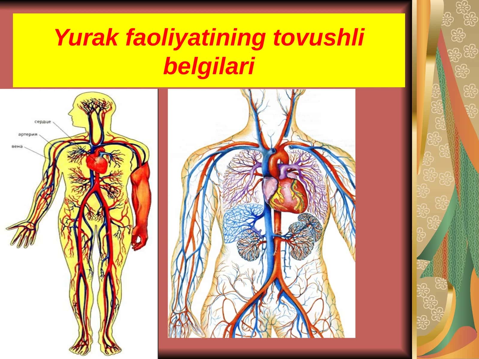 Yurak faoliyatining tovushli belgilari 1