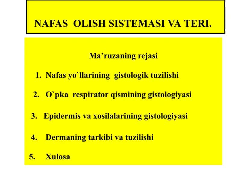 NAFAS  OLISH SISTEMASI VA ТERI. 1