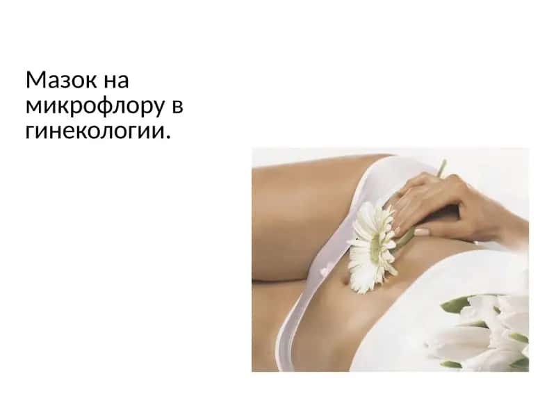 Мазок на микрофлору в гинекологии 1