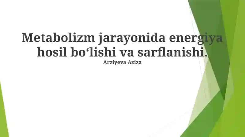 Energiya Balansi va Regulyatsiyasi