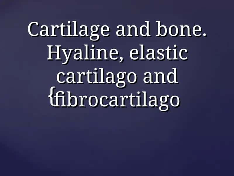 Types of Cartilage 1