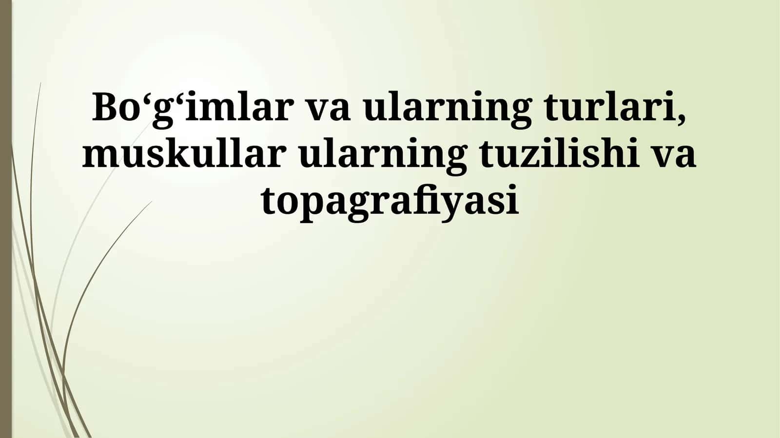 Koʻndalang-targʻil mushaklar 1