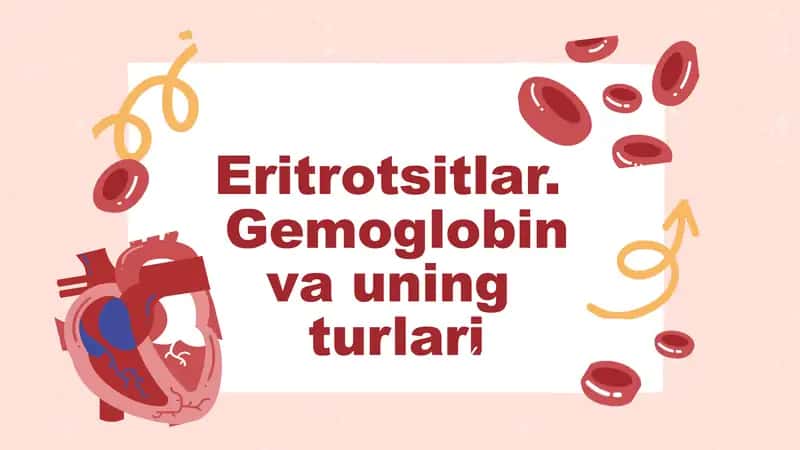 Eritrotsitlar, Gemoglobin va uning turlari 1