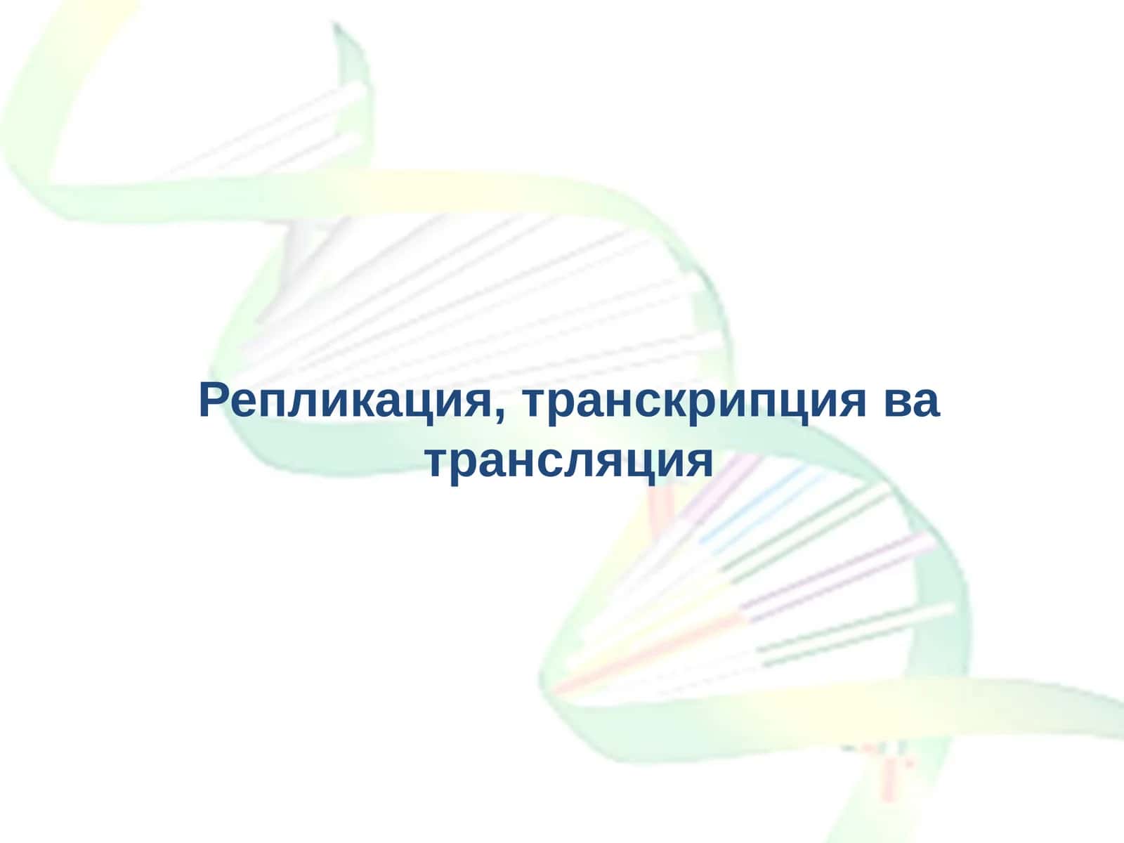 Транскрипция 1