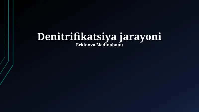 Denitrifikatsiya jarayoni 1