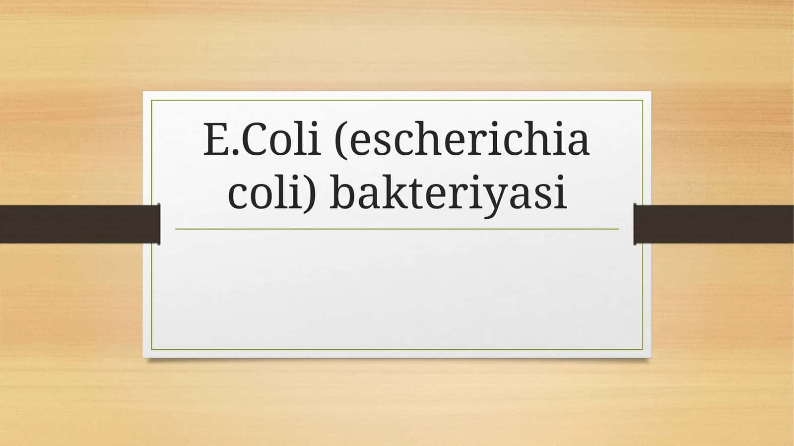 E.Coli(escherichiacoli) bakteriyasi haqida 1
