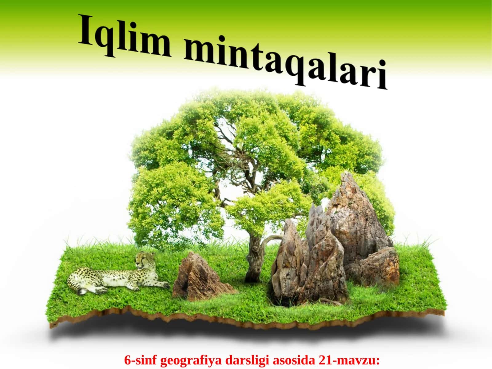 Afrikada iqlim mintaqalari 1