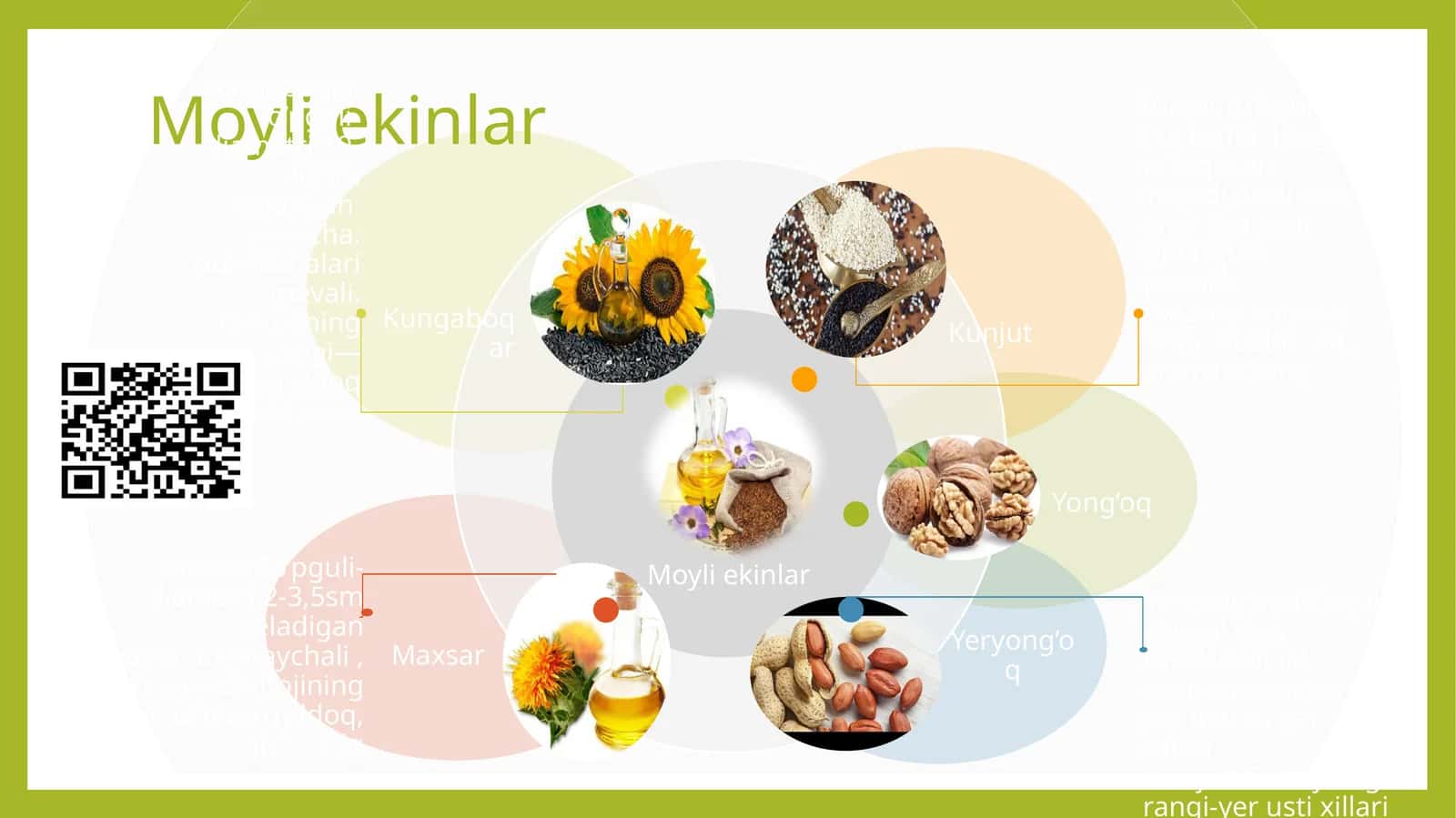 Moyli ekinlar 1