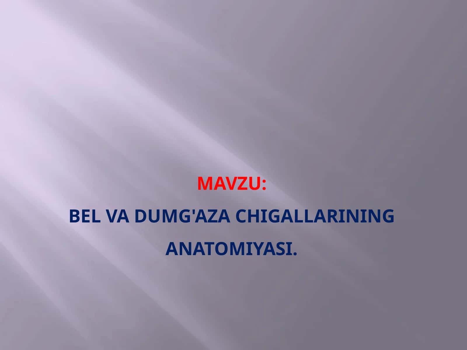 Bel va dumg'aza chigallarining anatomiyasi. 1