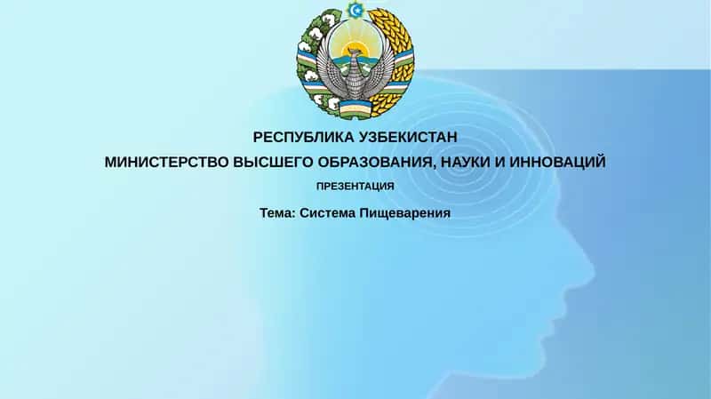 СистемаПищеварения 1