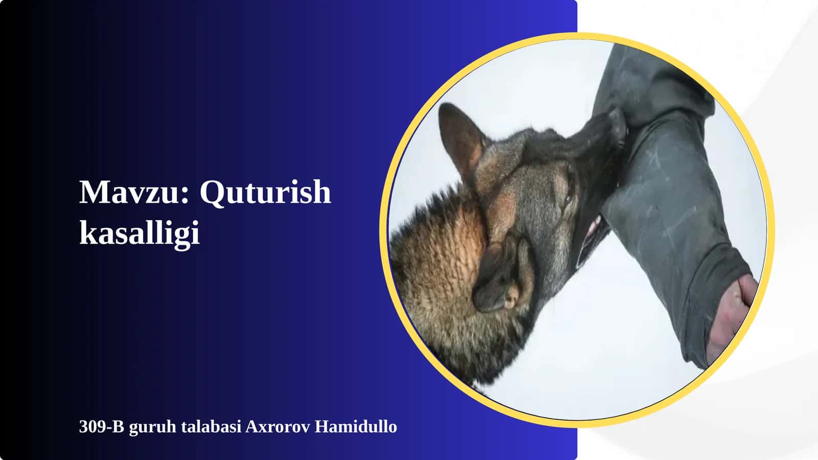 quturish kasalligi 1