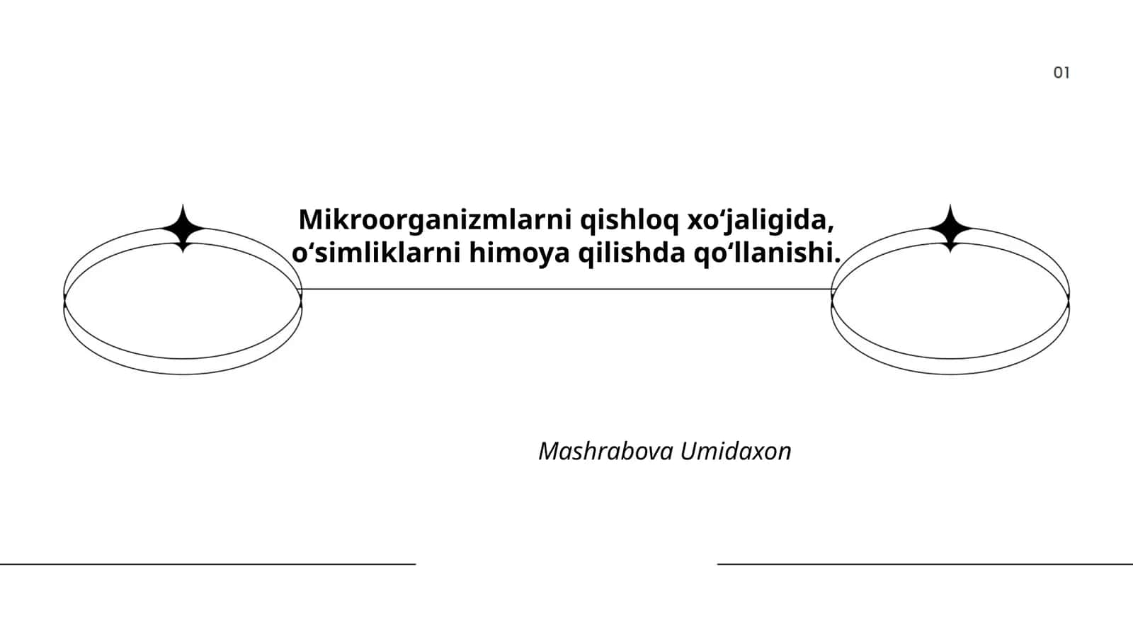 Mikroorganizmalar 1