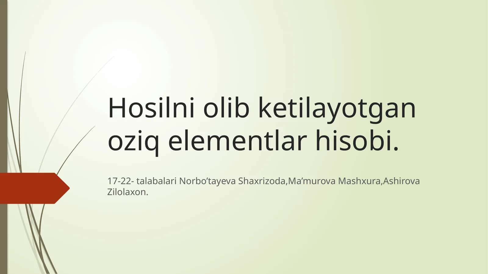 Oziq Elementlar Hisobi 1