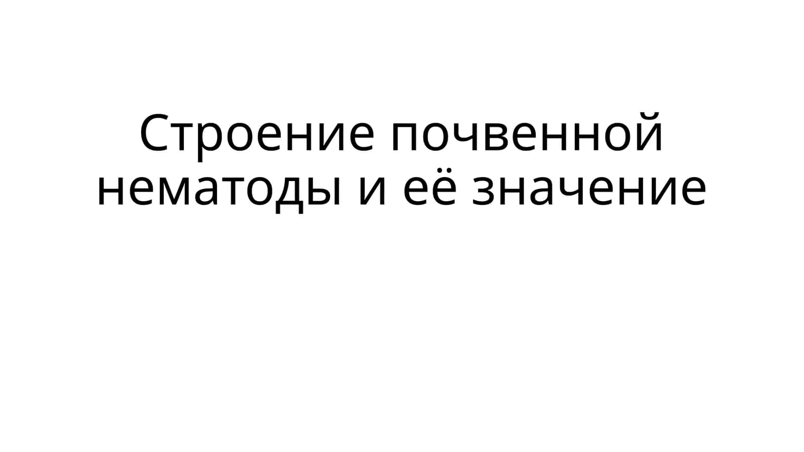 Строение почвенной нематоды и её значение 1