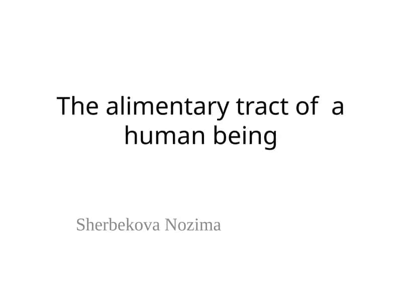 The alimentary tract of a human being