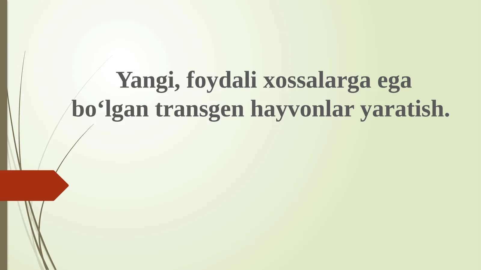 Transgen hayvonlar yaratish 1