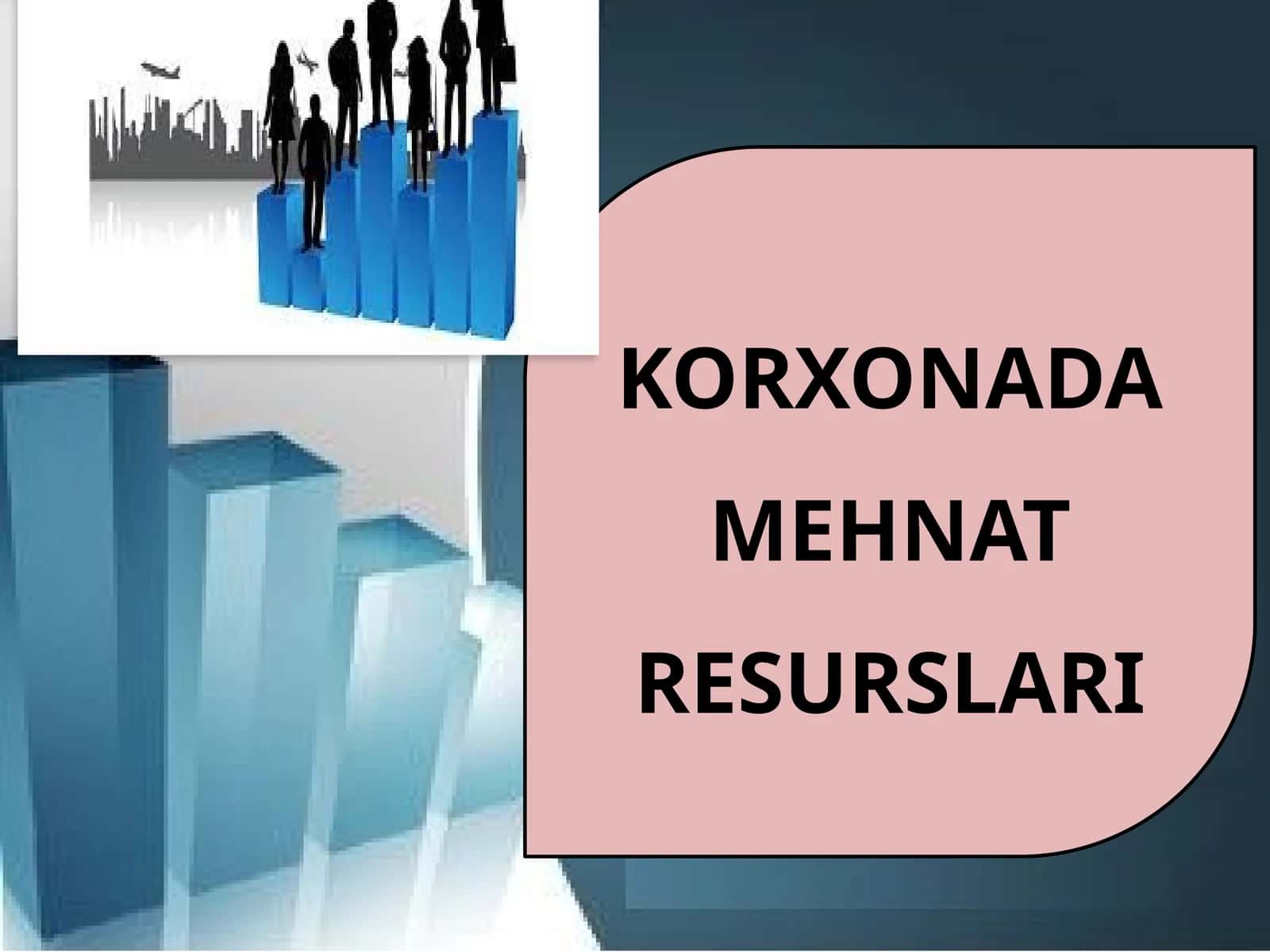 11-sinf Tadbirkorlik asoslari. Korxonada mehnat resurslar 1