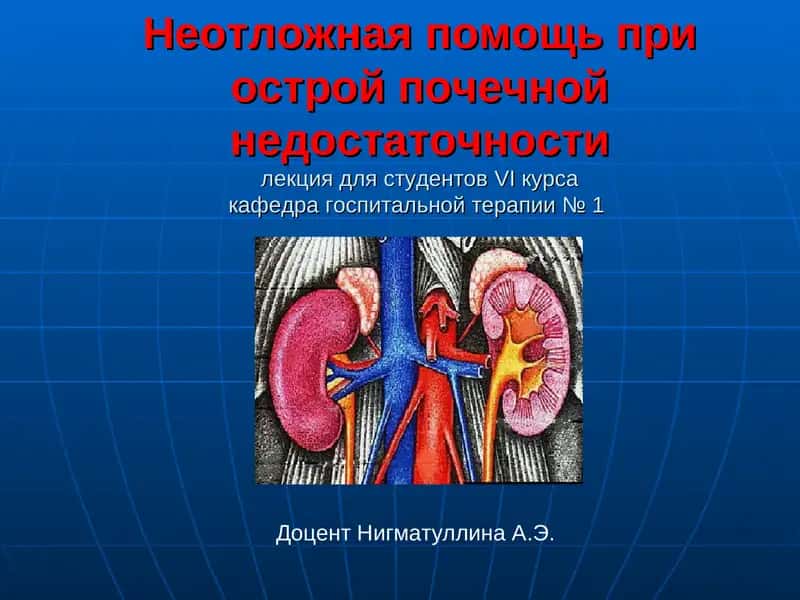 Студентлар учун касб-ҳунаржўм 1