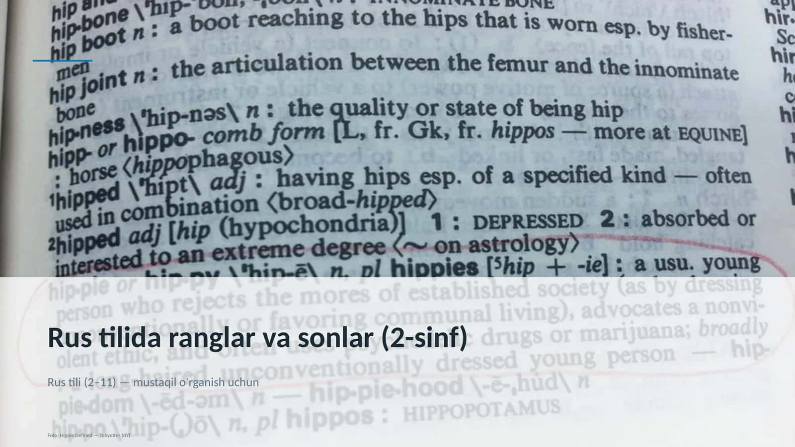 Rus tilida ranglar va sonlar (2-sinf) 1