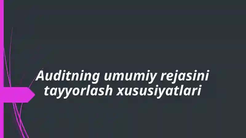 Auditning umumiy rejasi ni tayyorlash xususiyatlari