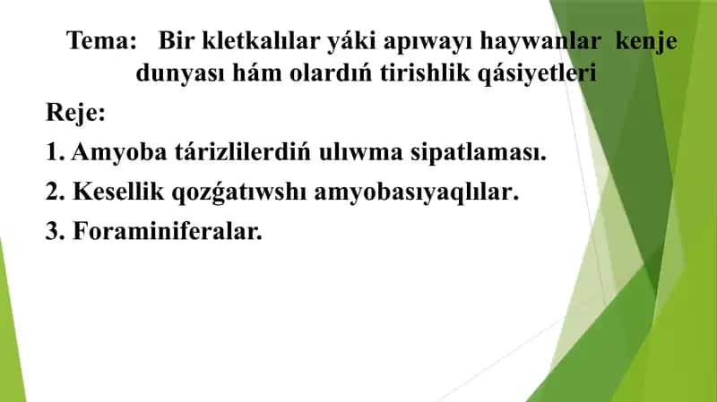 Bir kletkalıLar yáki apıwayı haywanlar kenje dunyası 1