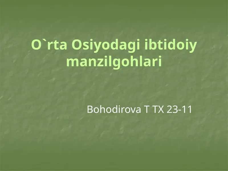 O`rta Osiyodagi Ibtidoiy Manzilgohlari 1