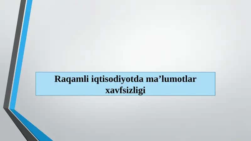 Raqamli iqtisodiyotda ma’lumotlar xavfsizligi 1