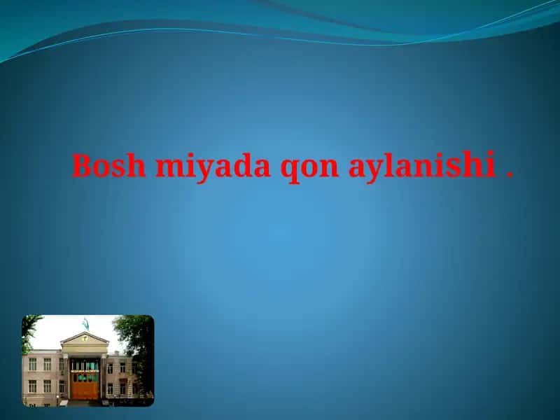 Bosh miyada qon aylanishi . 1