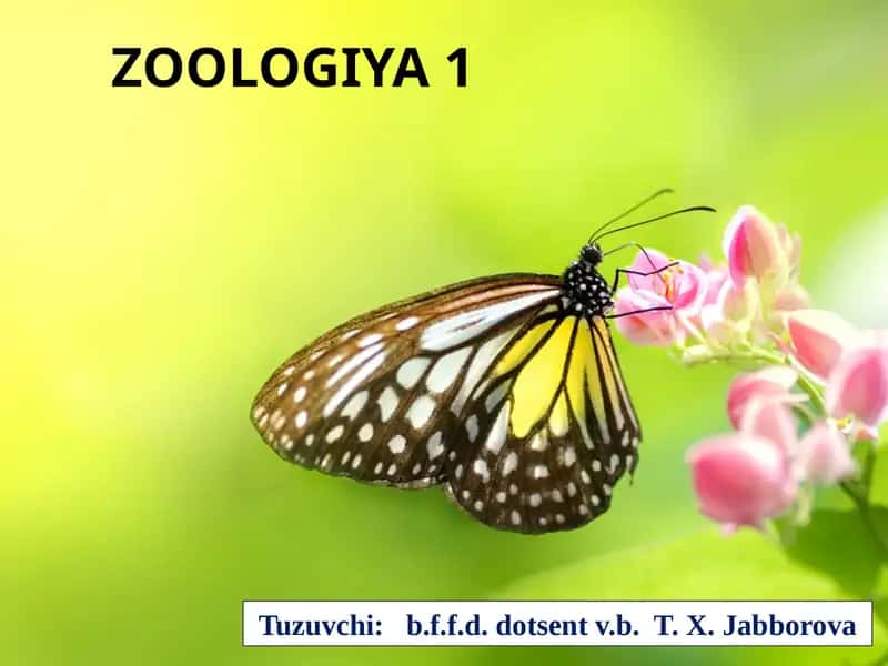 ZOOLOGIYA 1 1
