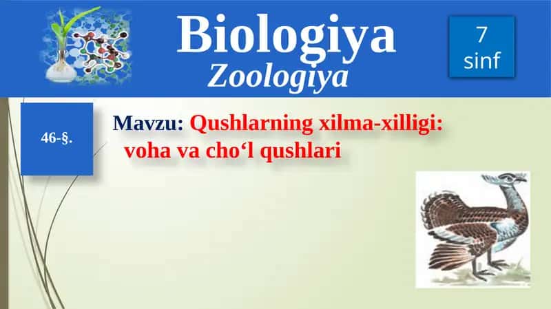 Qushlarning xilma-xilligi 1