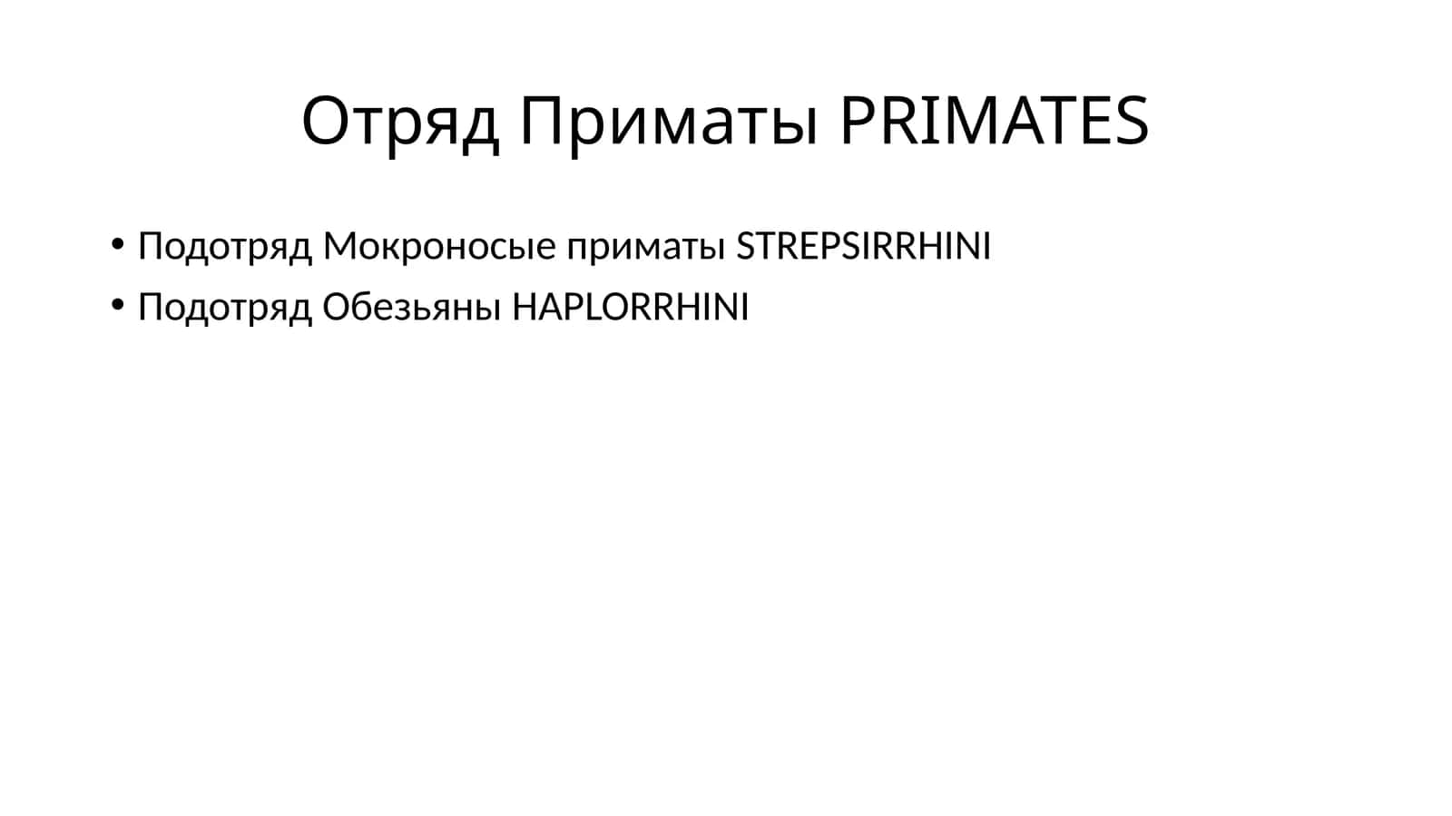 Отряд Приматы PRIMATES 1