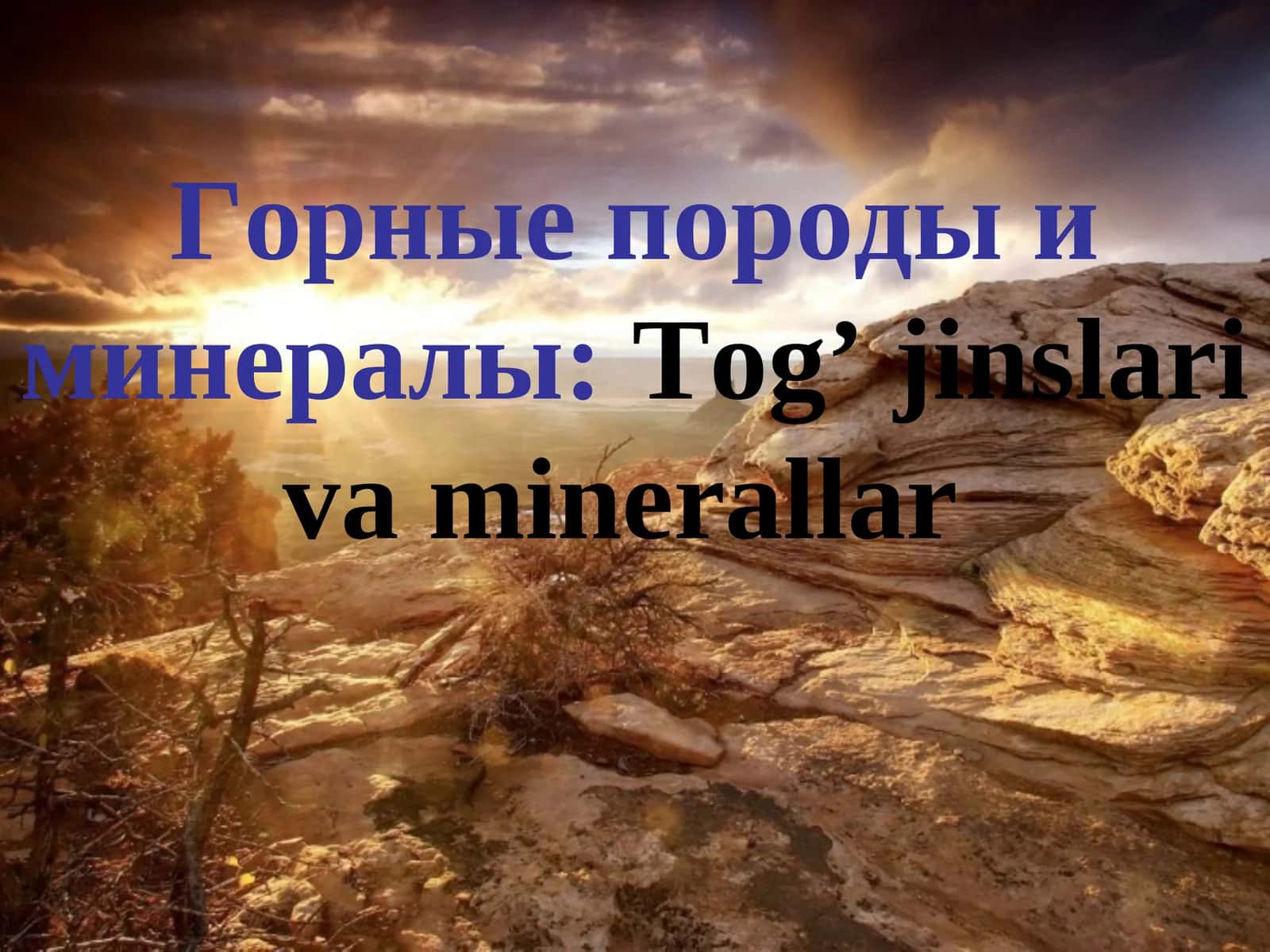 Tog' jinslari va minerallar 1