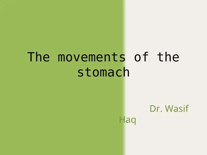 The movements of the stomach 1