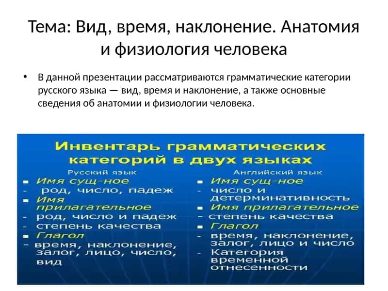 Грамматические категории русского языка 1