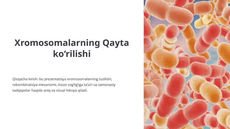 Xromosomalarning Qaytako‘rilishi 1